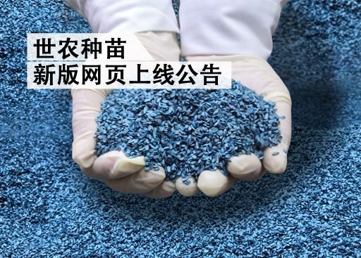 世農種苗新網站測試上線